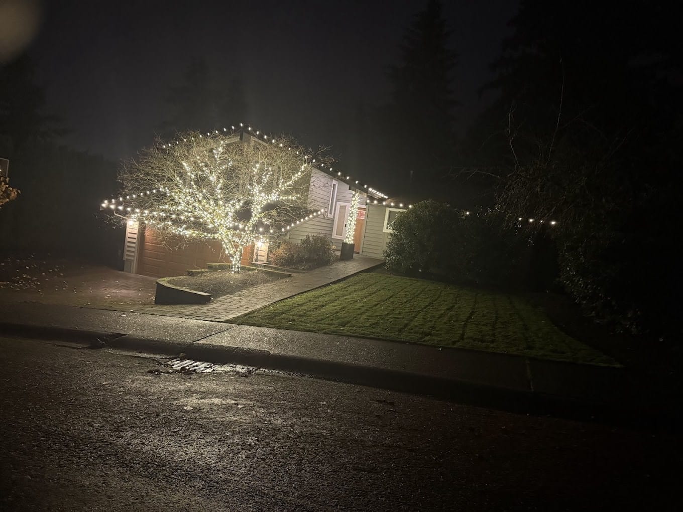 Tree wrap with warm white lights