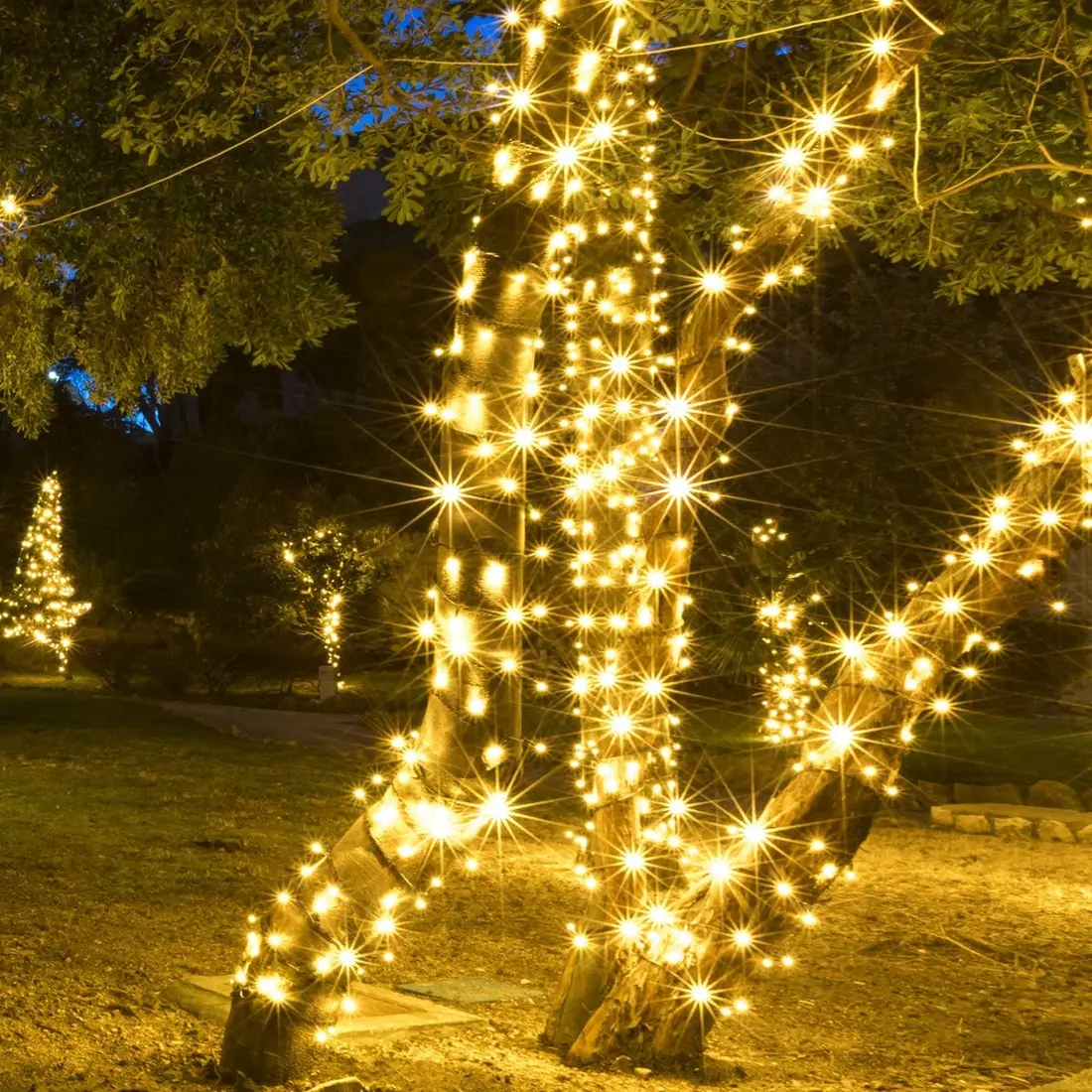 Tree Wraps installation example