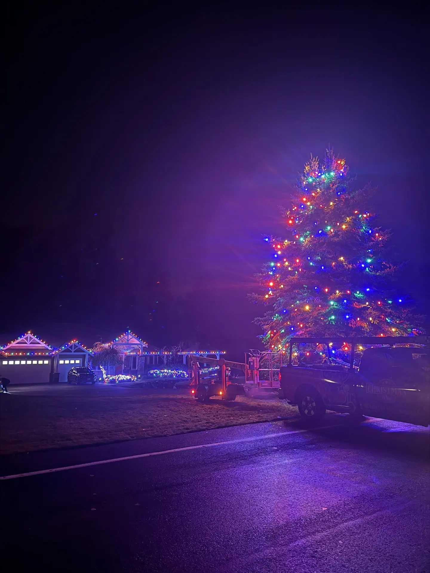 Multicolor tree with roofline