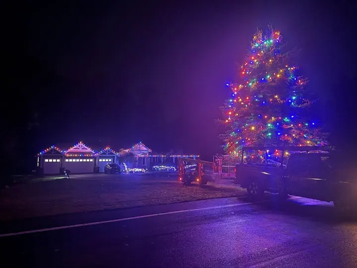 Wrapped Trees